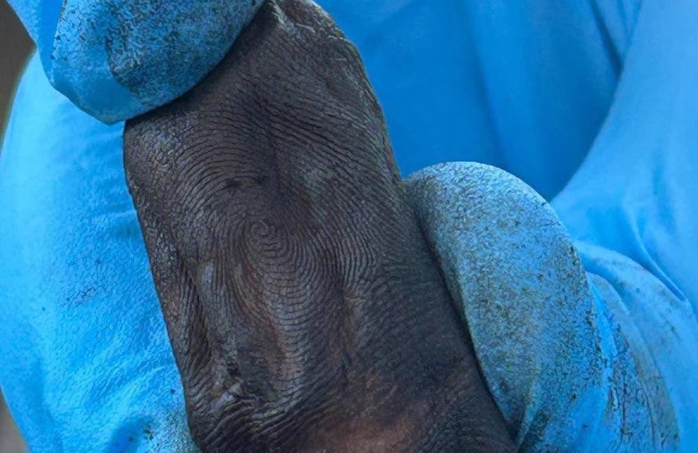 Polícia Civil identifica corpo carbonizado encontrado em Rio Verde