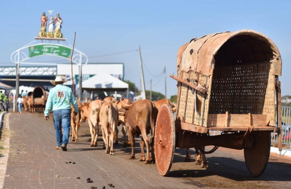 Romaria do Divino Pai Eterno chega ao 7º dia com desfile de carros de boi e Trindade é declarada capital simbólica de Goiás