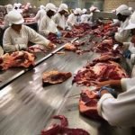 Tarifaço de Trump trava exportações e força frigoríficos em GO e MS a suspender produção de carne bovin