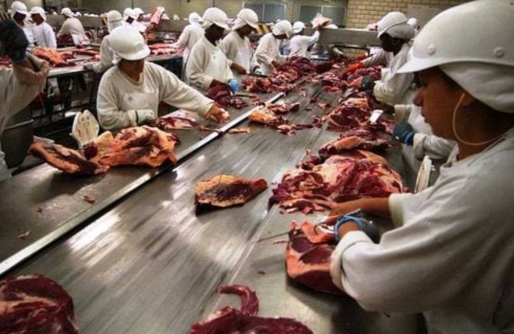 Tarifaço de Trump trava exportações e força frigoríficos em GO e MS a suspender produção de carne bovin