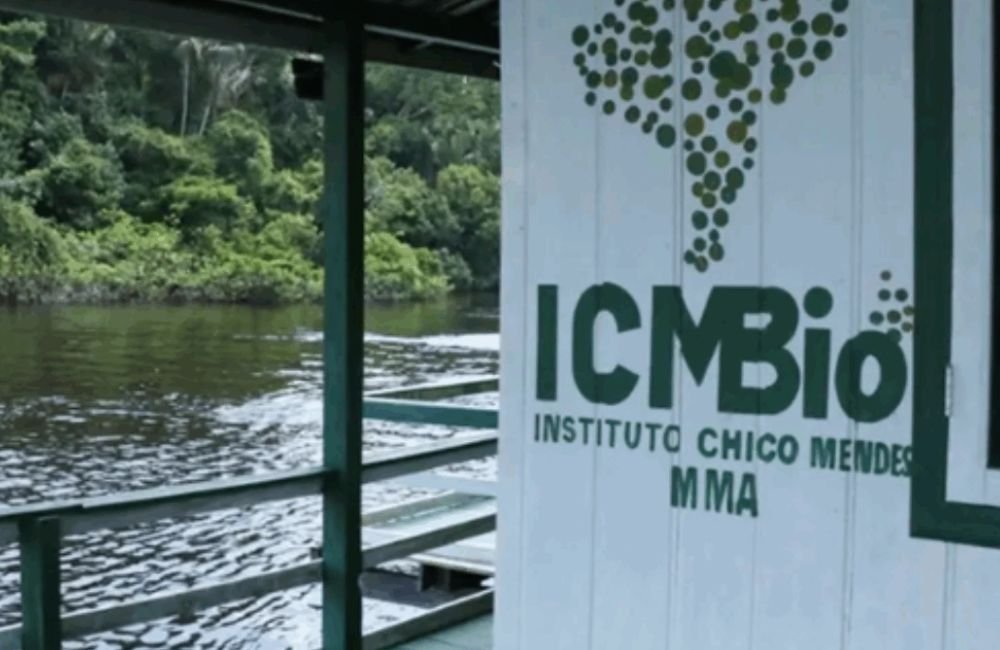 ICMBio lança edital de processo seletivo com lotação em Goiás; veja cargo e salário