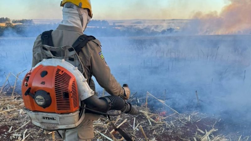 Incêndio em área do Exército em Jataí é controlado na madrugada após ação conjunta