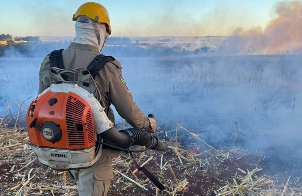 Incêndio em área do Exército em Jataí é controlado na madrugada após ação conjunta