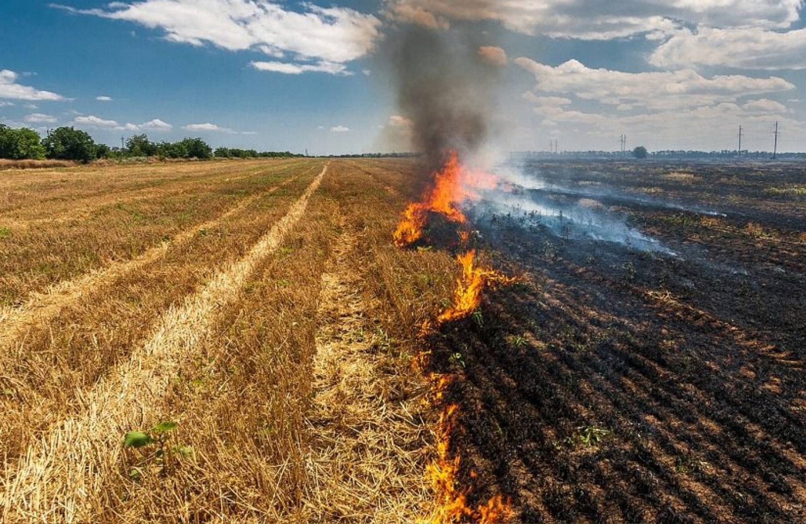 Incêndios em propriedades rurais em Goiás