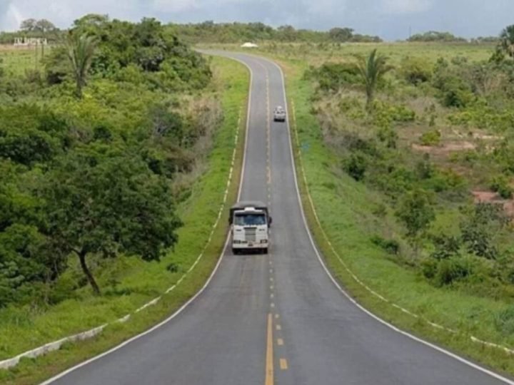 Leilão da Rota Agro, que passa por Goiás, recebe cinco propostas
