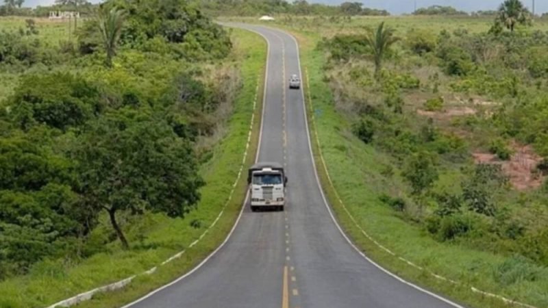 Leilão da Rota Agro, que passa por Goiás, recebe cinco propostas