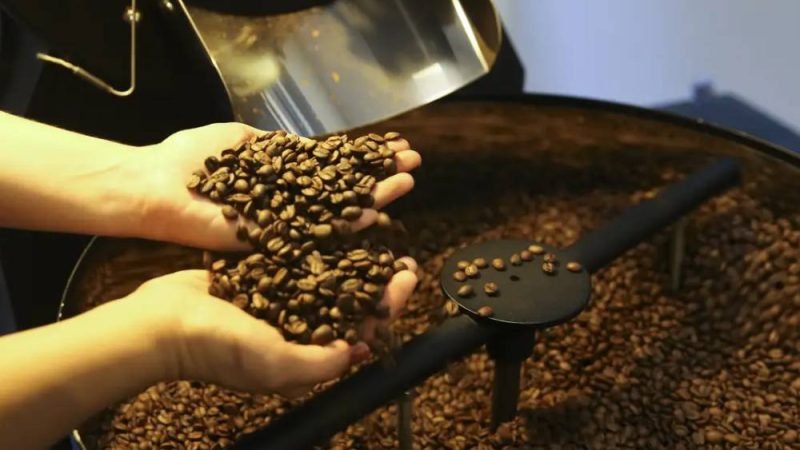 Preço do café cai pela primeira vez depois de 18 meses, diz IBGE