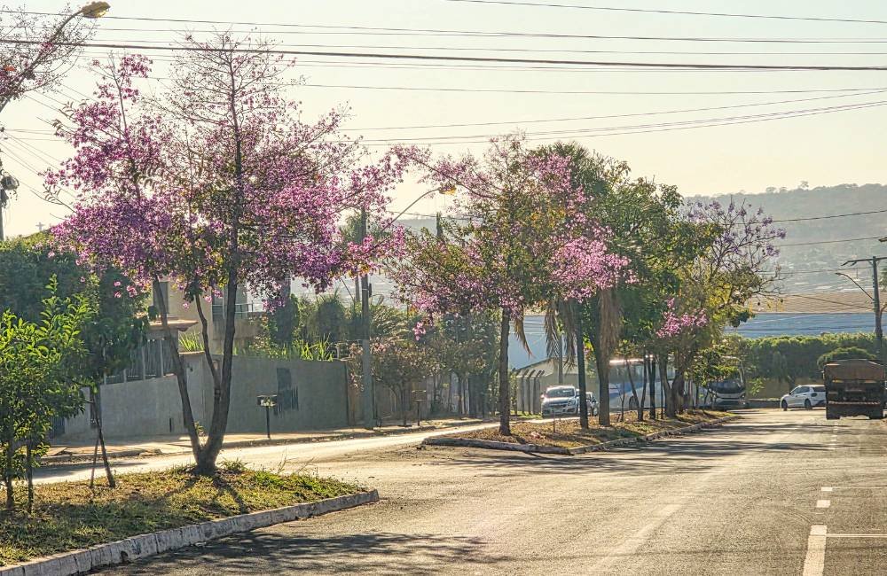 Clima muda em Jataí: calor e ar seco dão lugar a frio com chegada de frente polar