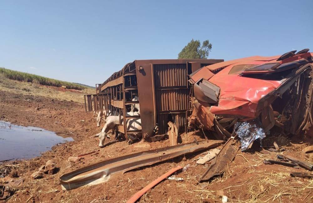 Tragédia na GO-206: tombamento de caminhão com gado deixa morto e mobiliza bombeiros por 11 horas em Quirinópolis