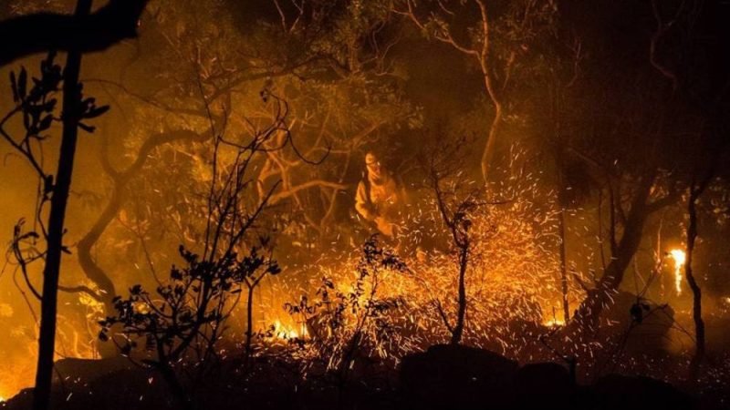 Como Goiás vai identificar os responsáveis por incêndios florestais: veja as novas regras da Semad