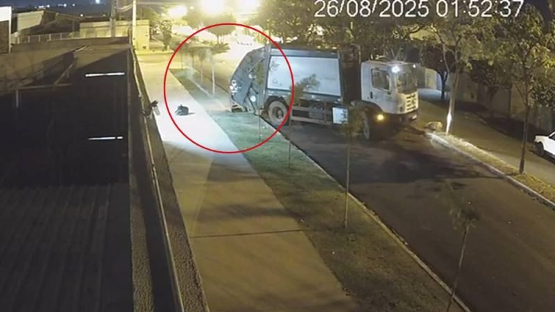 VÍDEO | Caso se repete: caminhão de coleta de lixo derruba coqueiro em calçada de Jataí
