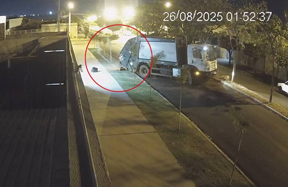 VÍDEO | Caso se repete: caminhão de coleta de lixo derruba coqueiro em calçada de Jataí