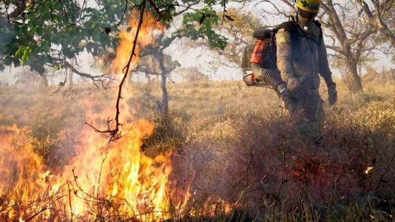 CBMGO participa de operação integrada contra queimadas no Parque Altamiro de Moura Pacheco