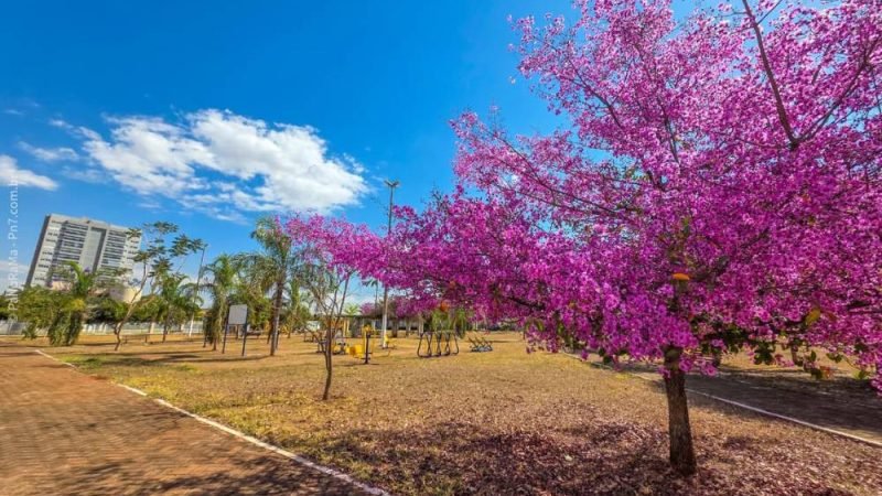 Condições extremas marcam o início da semana em Jataí
