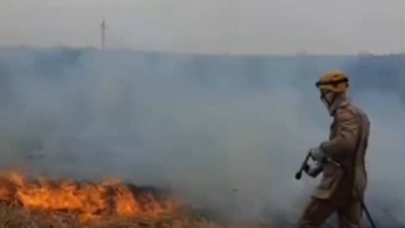 Incêndio às margens da BR-364 mobiliza bombeiros e fazendeiros em Mineiros