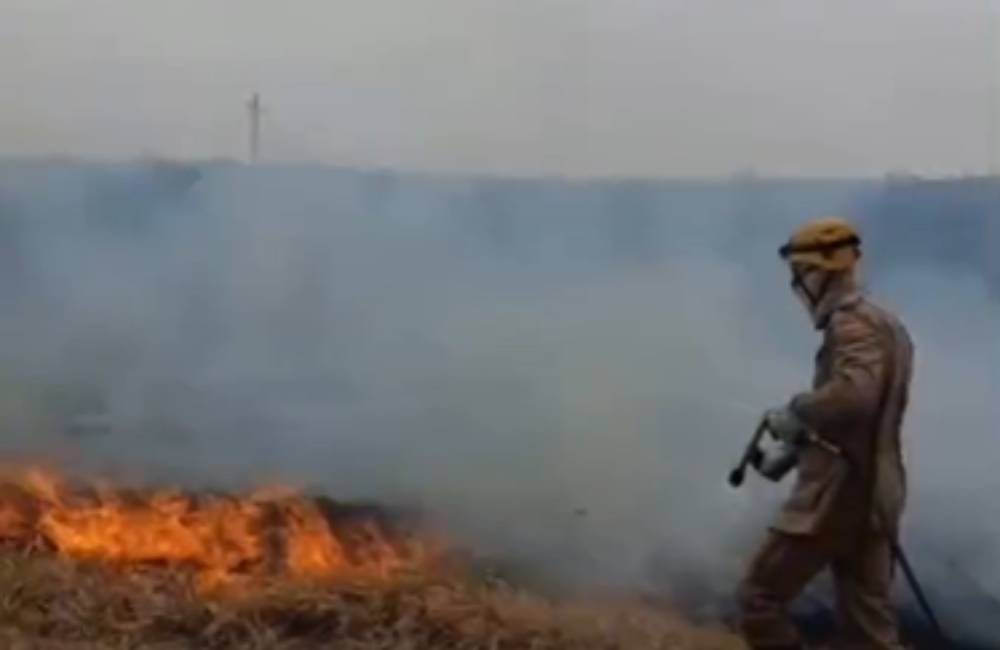 Incêndio às margens da BR-364 mobiliza bombeiros e fazendeiros em Mineiros