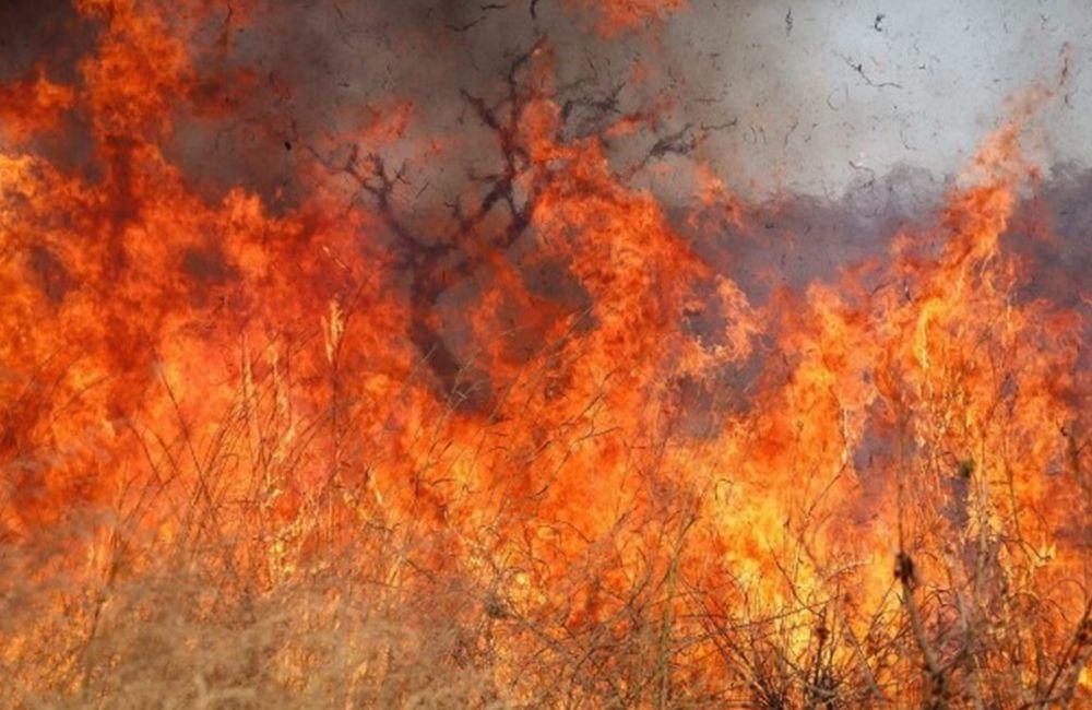 Incêndio atinge Pirenópolis, fecha cachoeira e ameaça interditar outras