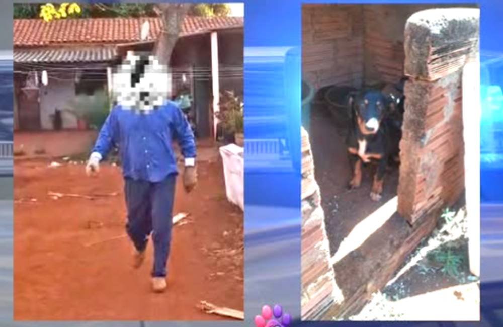 VÍDEO | Justiça converte em preventiva prisão de homem acusado de agredir cachorro em Jataí