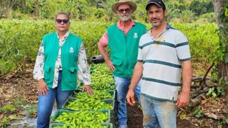 PAA Goiás 2025 bate recorde de inscrições e supera metas da agricultura familiar