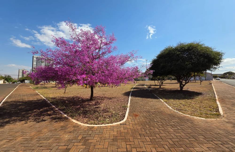 Primavera começa hoje no Brasil com previsão de chuvas e mudanças no clima em Goiás