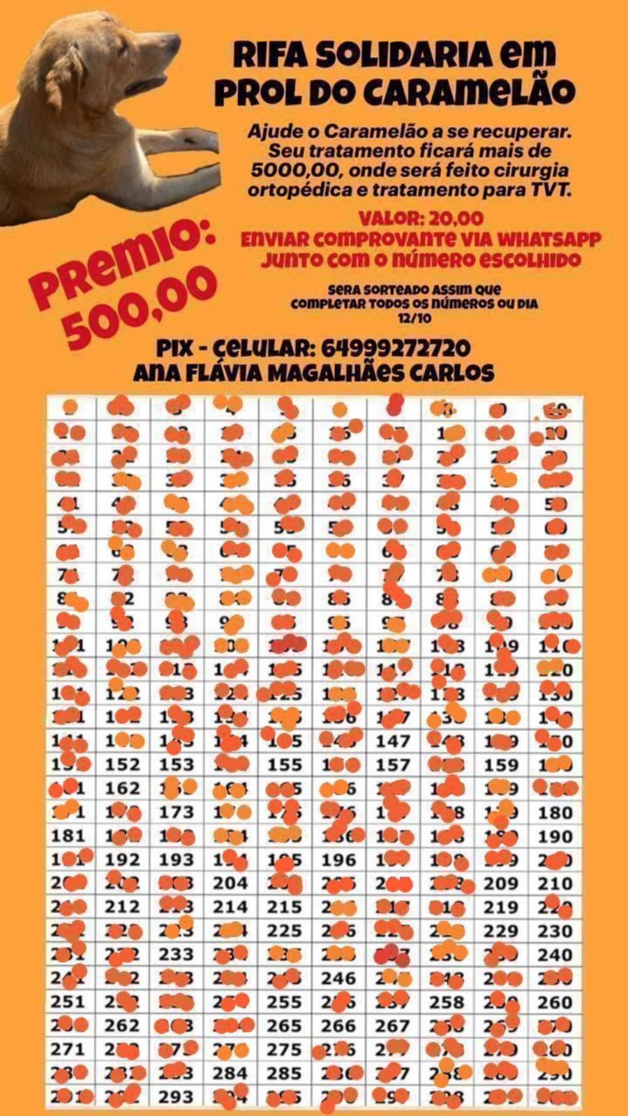 Rifa solidária mobiliza apoio para tratamento do cão Caramelão em Jataí