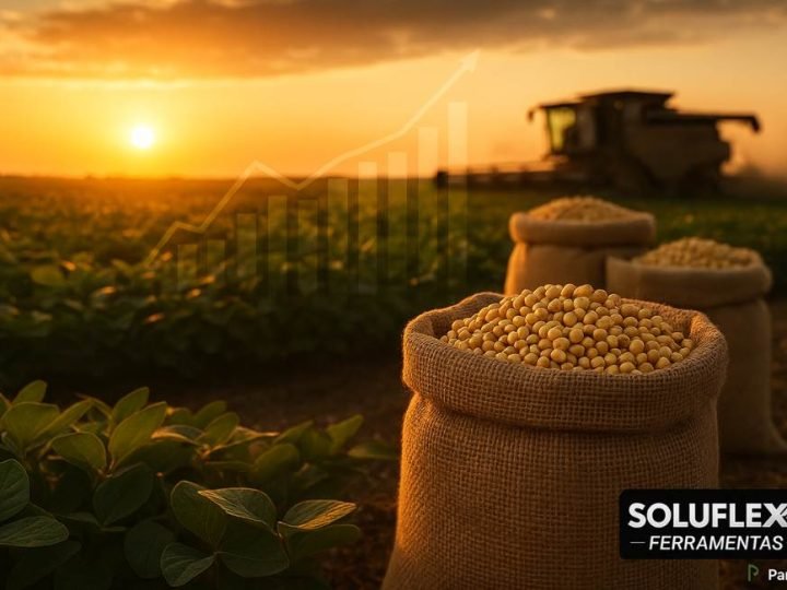 Mercado do agro segue firme em Jataí: confira os preços atualizados da soja, milho e pecuária (25/09)