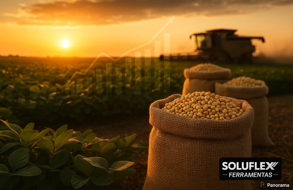 Mercado do agro segue firme em Jataí: confira os preços atualizados da soja, milho e pecuária (25/09)
