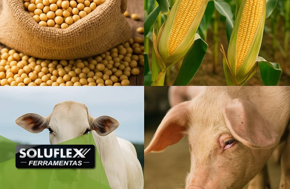 Cotações do agronegócio em Jataí (22/09): confira os preços da soja, milho e pecuária