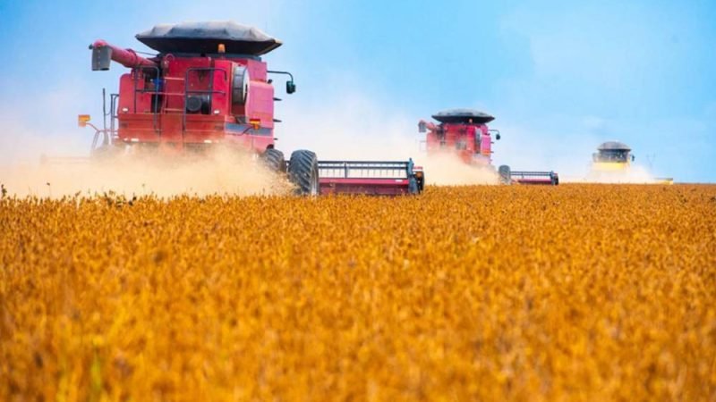 Agro bate recorde de recuperações judiciais no 2º trimestre