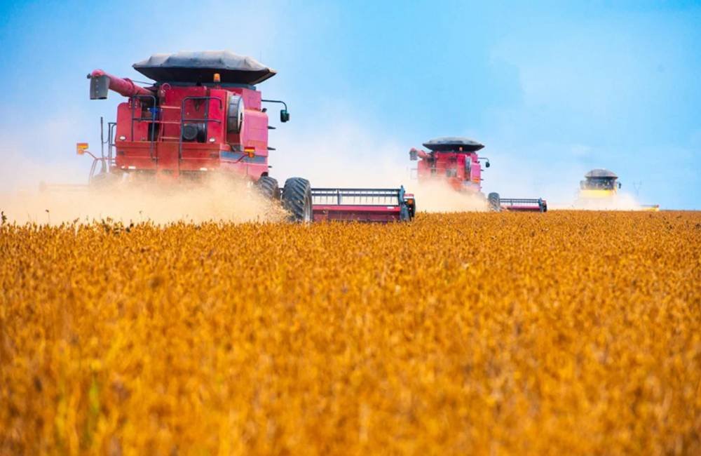 Agro bate recorde de recuperações judiciais no 2º trimestre