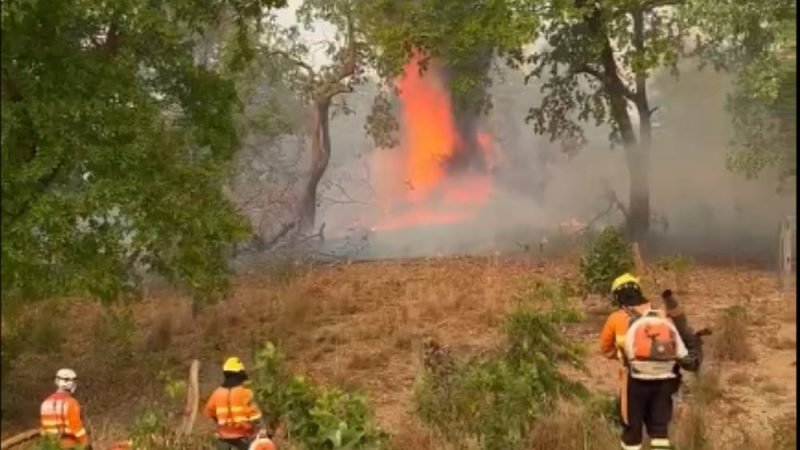 Bombeiros intensificam combate a incêndio na Chapada dos Veadeiros