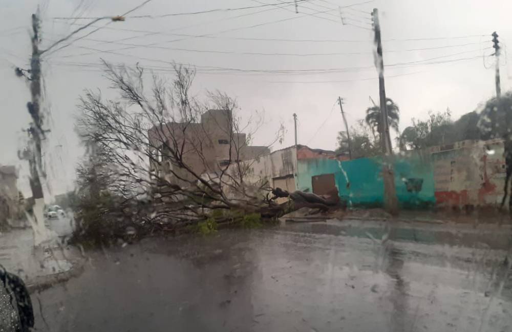 Equatorial Goiás alerta para temporais e ventos de até 50 km/h em cidades de Goiás