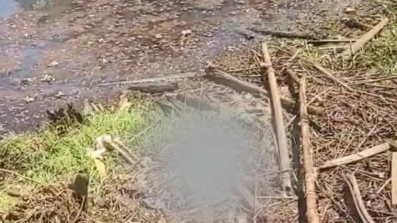 VÍDEO| GCM Encontra Ossada Humana na Zona Rural