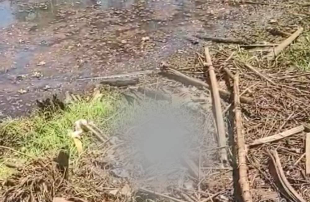 VÍDEO| GCM Encontra Ossada Humana na Zona Rural