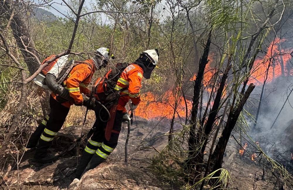 Incêndio florestal atinge 1.886 hectares na zona rural em Goiás