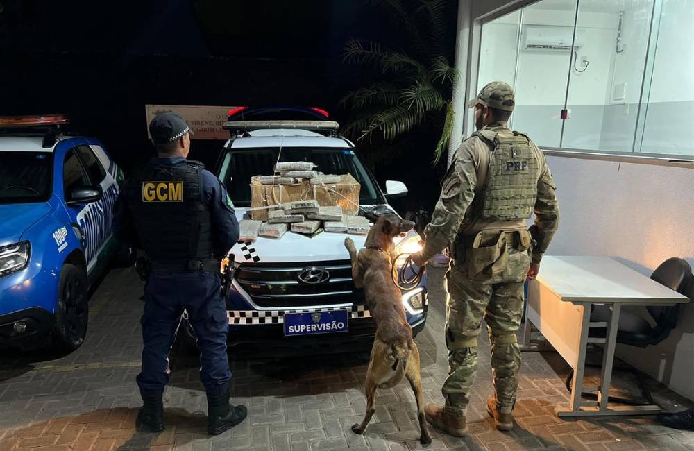 PRF e GCM apreendem cerca de 30 kg de skunk