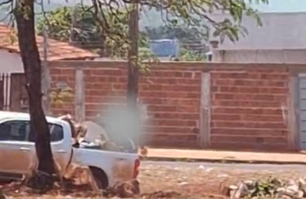 VÍDEO: Moradores denunciam descarte irregular de lixo em frente a residências e terrenos baldios