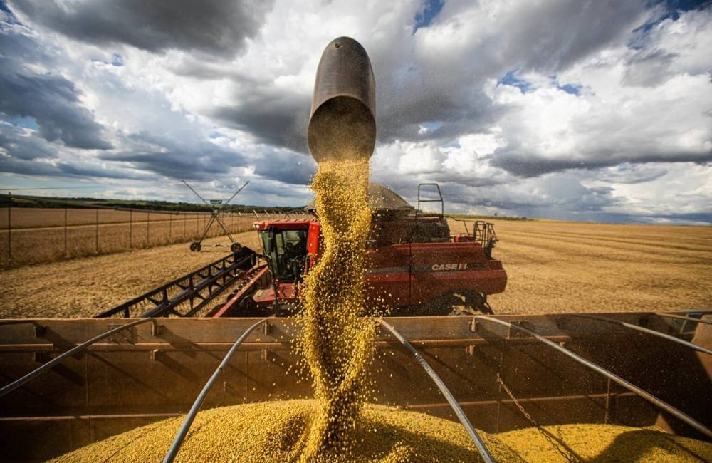 Crise da soja em Goiás pressiona produtores e amplia risco de disputas em contratos de arrendamento