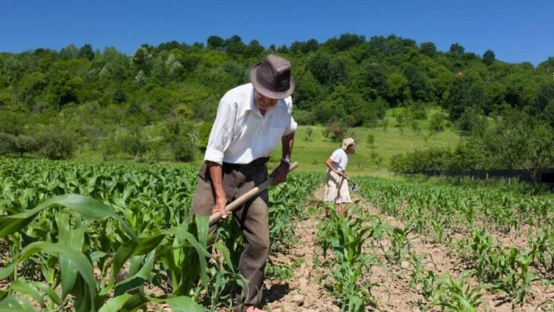 Dia do Estatuto da Terra reacende debate sobre reforma agrária no Brasil