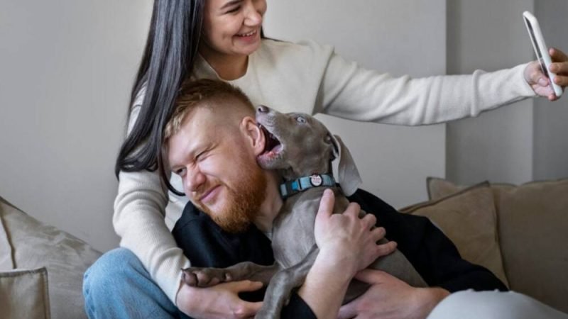 Nova geração de famílias: quando os pets ocupam o lugar dos filhos