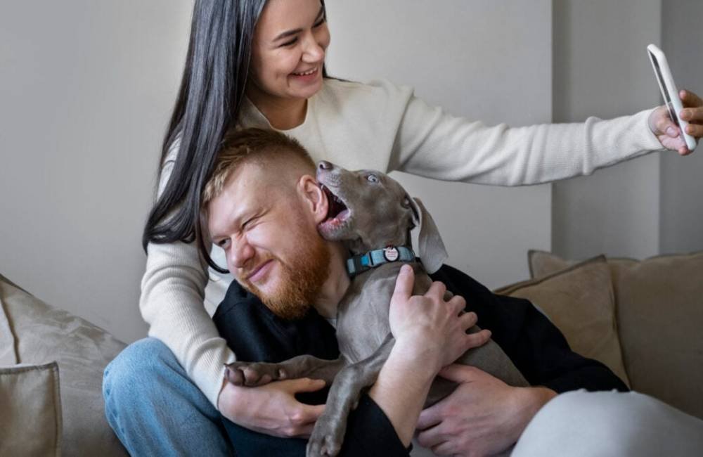 Nova geração de famílias: quando os pets ocupam o lugar dos filhos