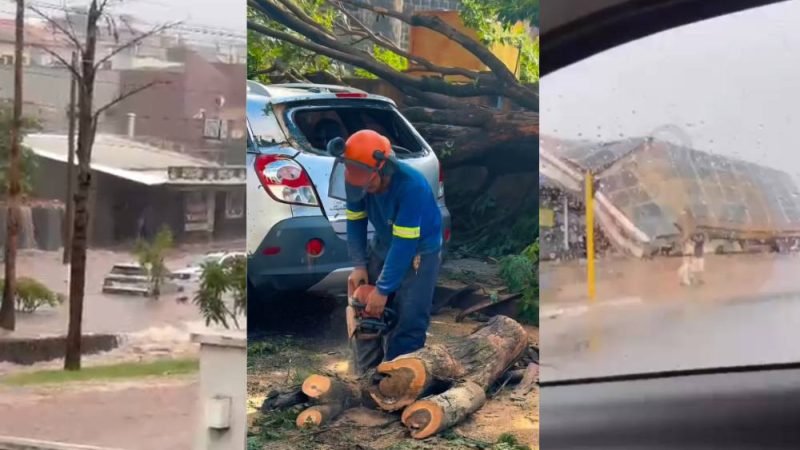 VÍDEO | Temporal causa estragos em Rio Verde; prefeitura e Equatorial Goiás atuam para minimizar impactos