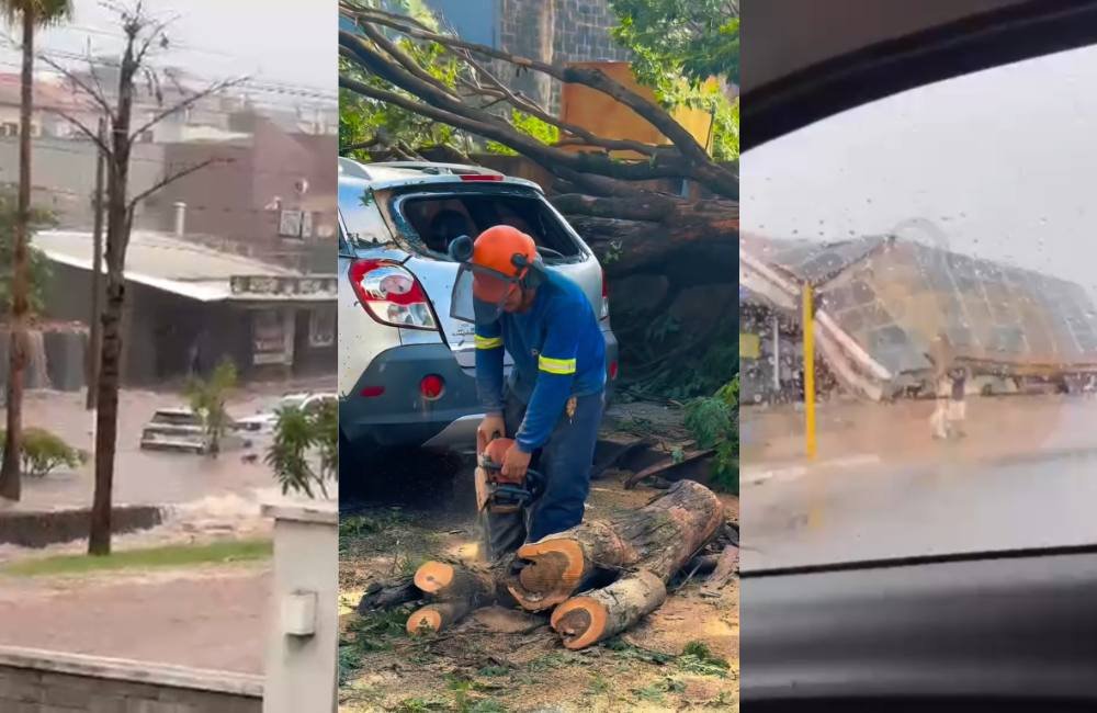 VÍDEO | Temporal causa estragos em Rio Verde; prefeitura e Equatorial Goiás atuam para minimizar impactos