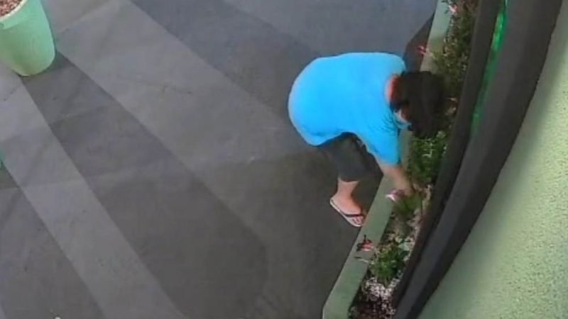 VÍDEO | Imagens de câmeras registram furto de plantas em frente a comércio em Mineiros
