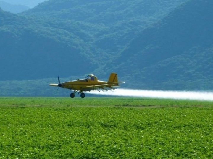 Duas cidades goianas entram no Top 10 da produção agrícola do país