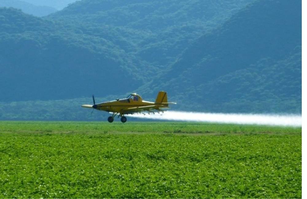 Duas cidades goianas entram no Top 10 da produção agrícola do país