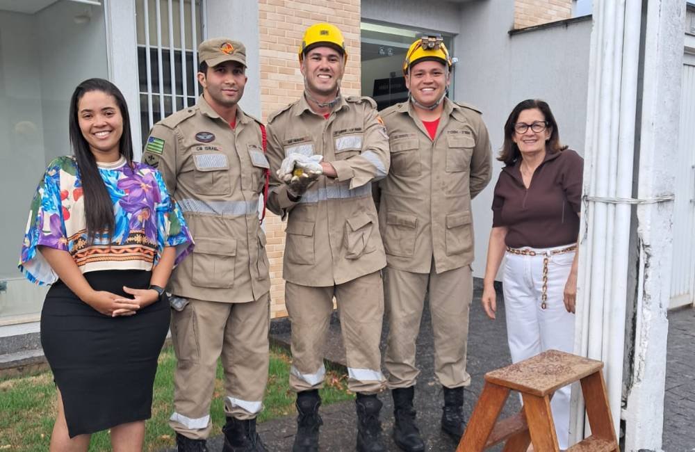 Bombeiros resgatam pássaro preso em poste