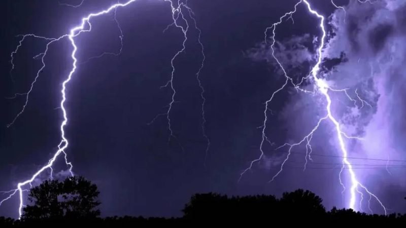 Brasil lidera ranking de raios e perde quase 3 mil bovinos