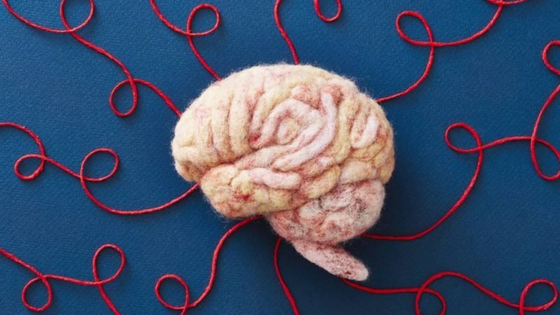 Cérebro mais saudável em 2026: 6 hábitos essenciais