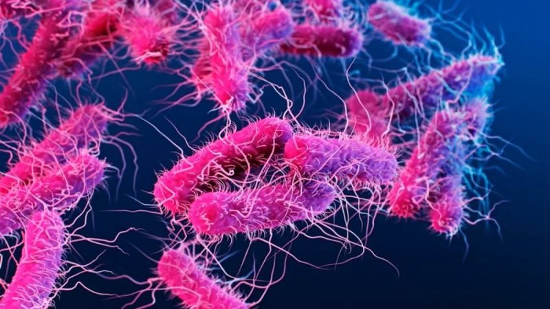 Doença rara faz pessoas ficarem bêbadas sem ingerir álcool